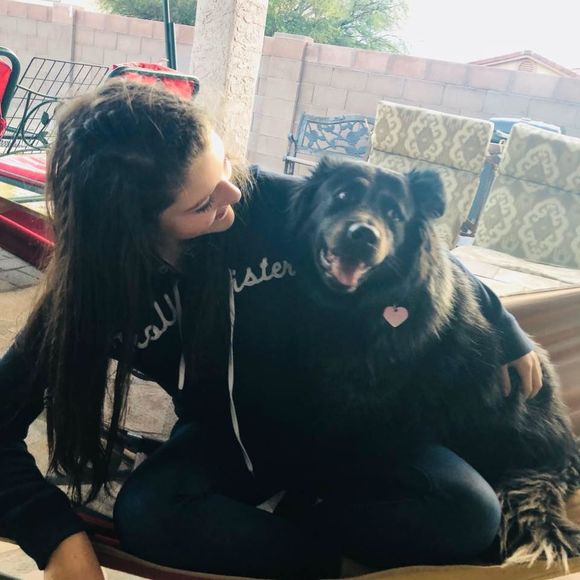 Meet your Posher, Taylor - Picture 1 of 1